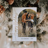Christmas Cards Custom Photo CC110