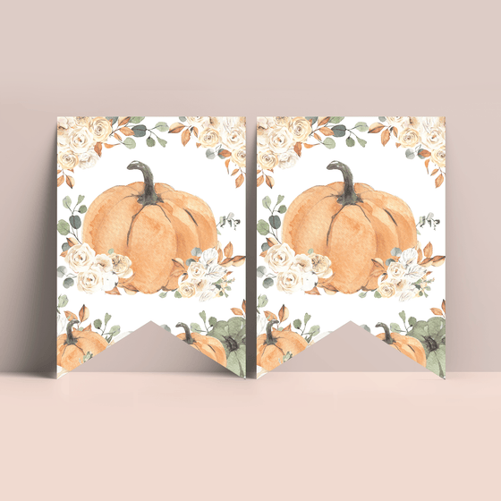 Editable Our Little Pumpkin Birthday Package PB001