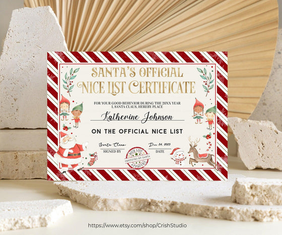Editable Santa Certificate SL102